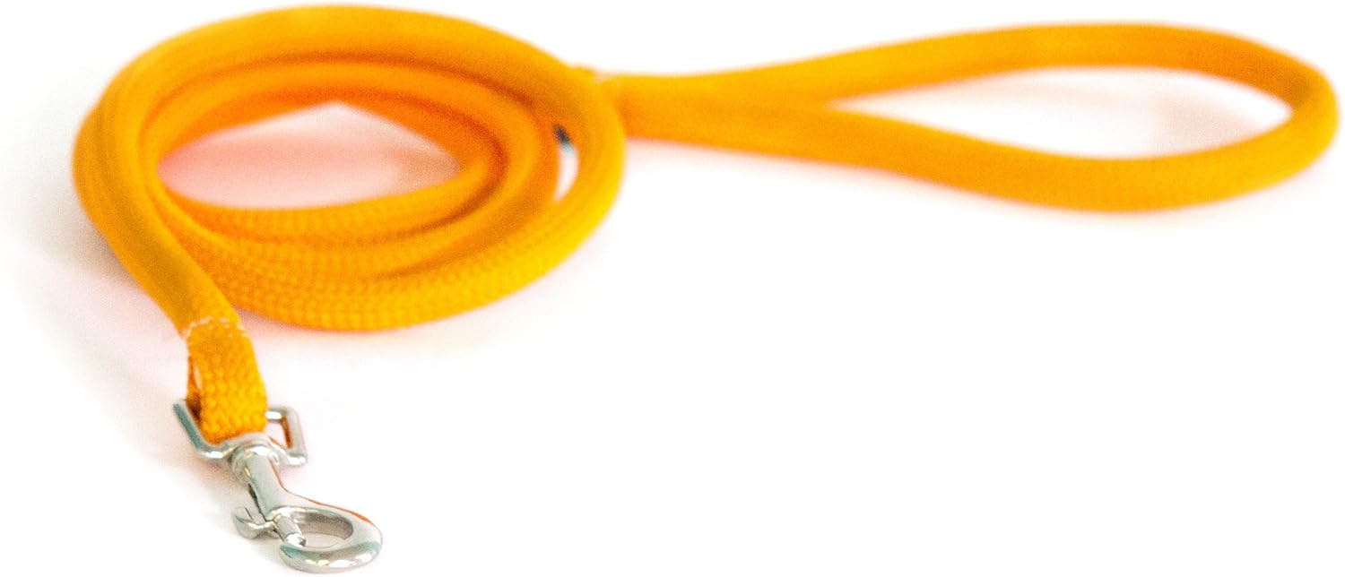 yellow dog lead