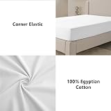 My Home Store 100% Egyptian Cotton Fitted Sheet 300TC White Double view 4