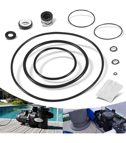 Guarnizione Per Albero Pompa Piscina R0479400 / PS-3890, Per Jandy Zodiac VS FloPro, FloPro FHPF/FHPM, In Ceramica E Carbonio