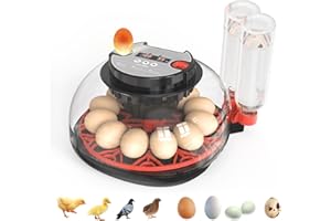 NWH 12 Egg Incubator with Temperature and Humidity Control, Adjustable Turning Time, Automatic Dual Water Bottle Refill, Candling Light, Air Vent, Incubators for Hatching Eggs, Chicken, Ducks, Goose
