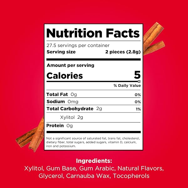PUR GUM | ASPARTAME FREE CHEWING GUM | 100% XYLITOL | NATURAL CINNAMON FLAVORED GUM, 55 PIECES (PACK OF 12)