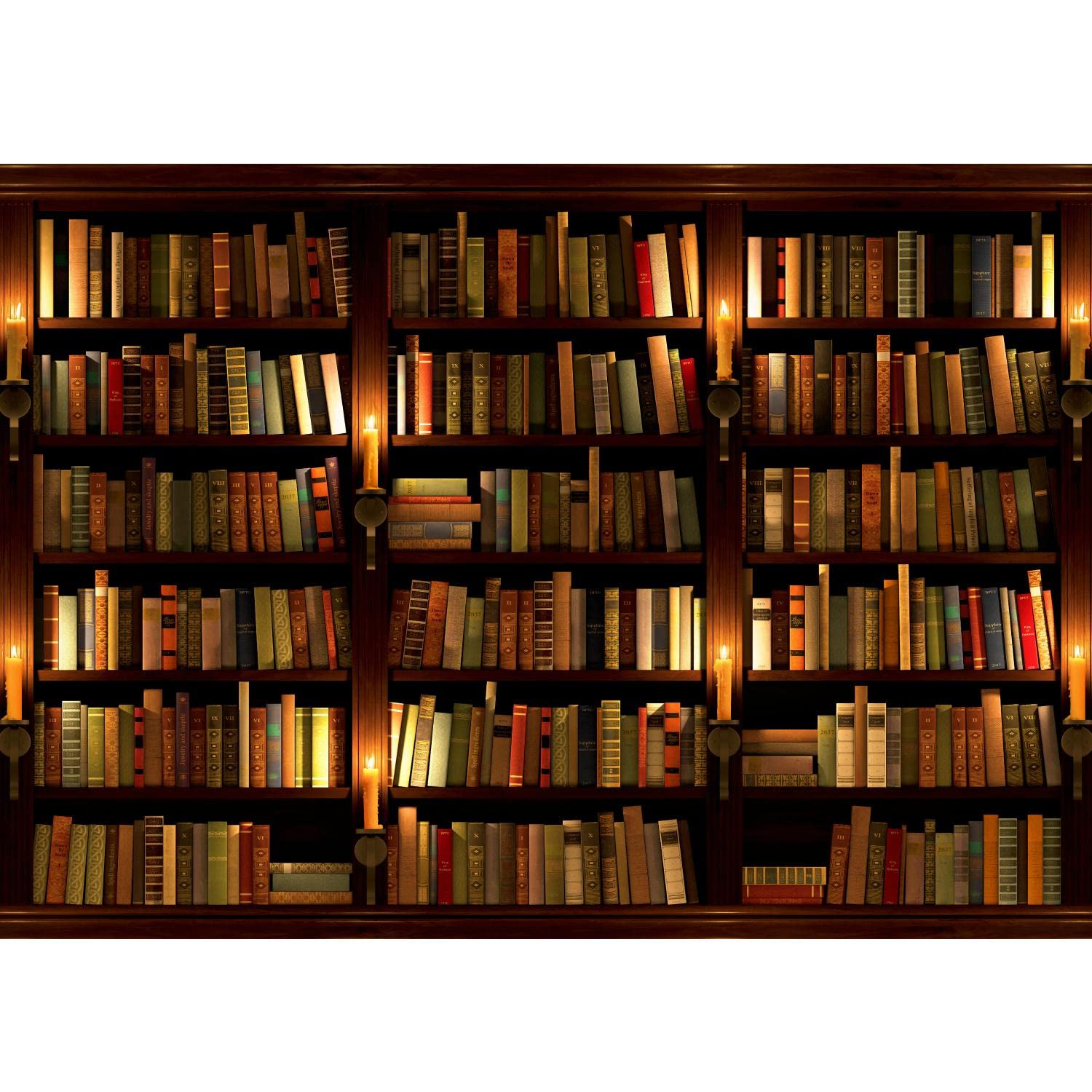 Runa Art Photo Wallpaper Library 352 x 250 cm Non-Woven Wall Art XXL Moderne Living Room Bedroom Brown 9058011a