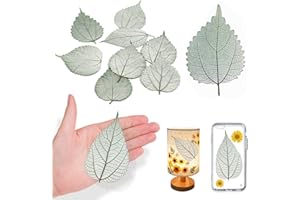 HQT Natural Dried Ramie Leaves for Resin, 42PCS Real Pressed Dry Leaves for Resin Art DIY Craft Card Scrapbooking Candle Making Phone Case Table House Decoration