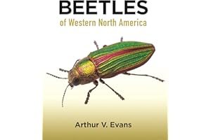 Beetles of Western North America