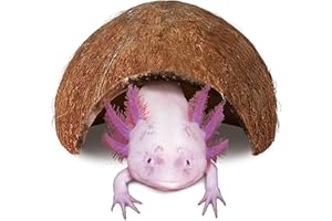 JOR Axolotl Cave, Coconut Shell Hideout and Resting Tunnel, Shelter for Pleco, Crabs, Fish, Turtles, Geckos, Tank Décor, 5” x 3”, 1 Pc Per Pack