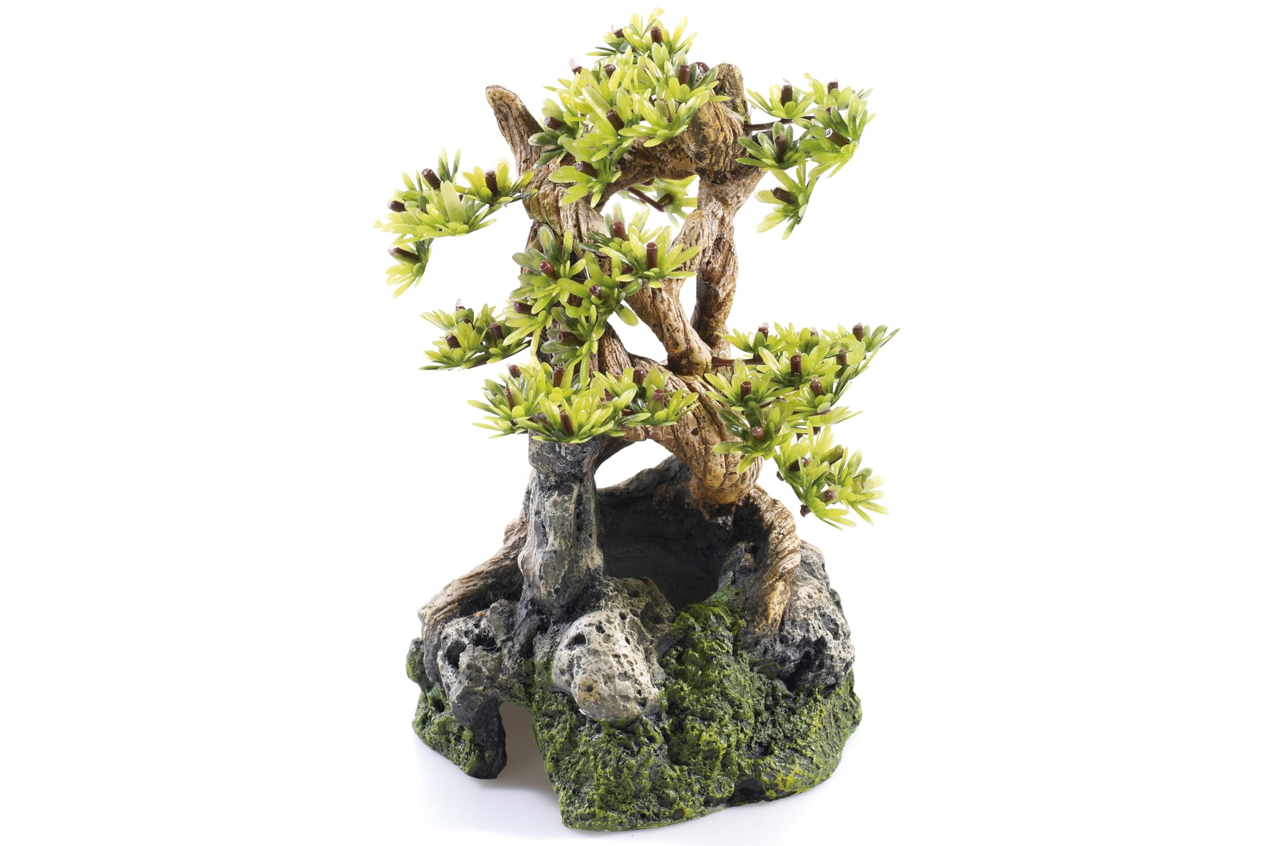 Caldex Limited CLASSIC Bonsai on Rocks Aquarium Ornament 120 x 115 x 200 mm Hand-Painted Non-Toxic Resin Decoration for Freshwater Tanks