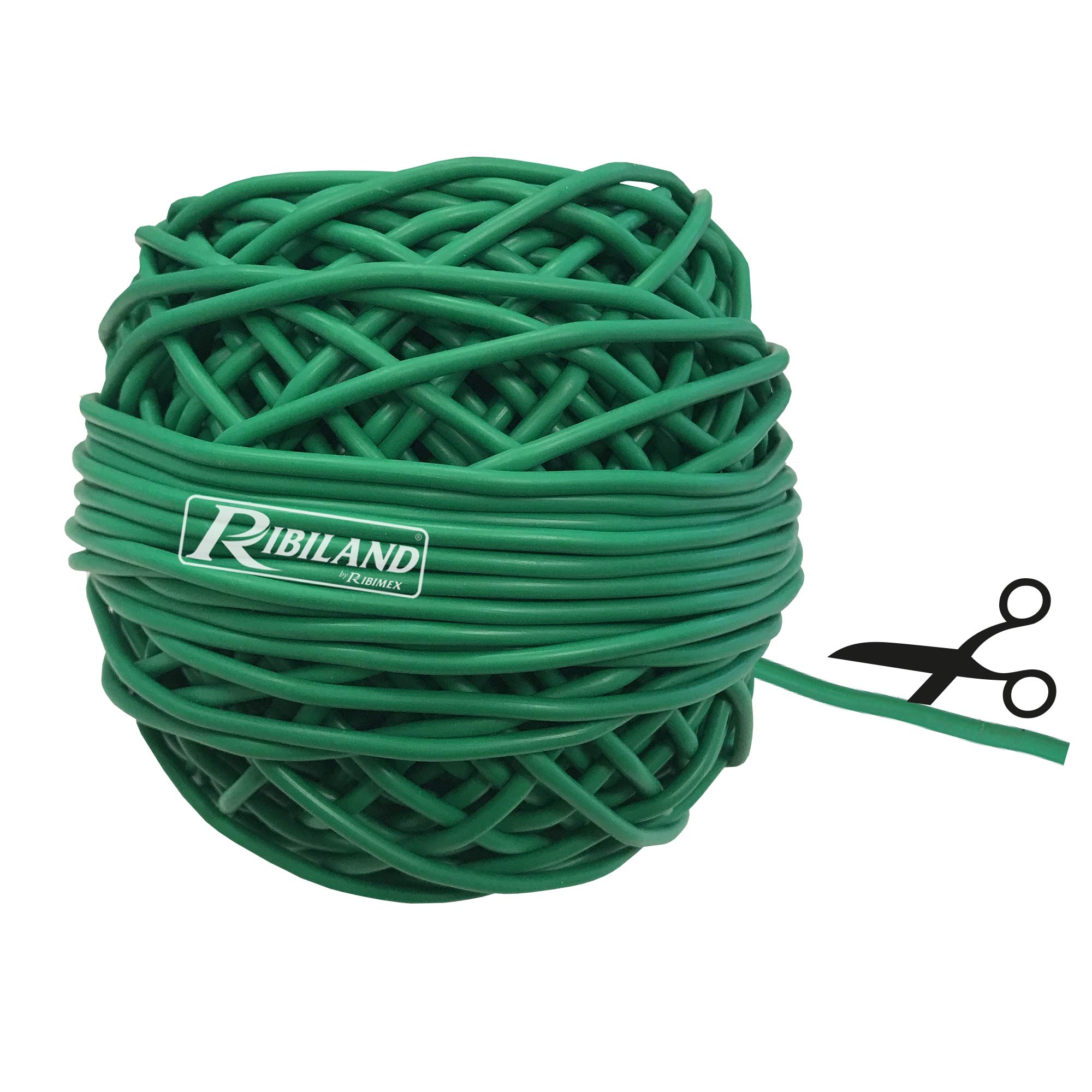Ribimex PRLIENGO020 3mm PVC Binding Thread 200g Ball, Green
