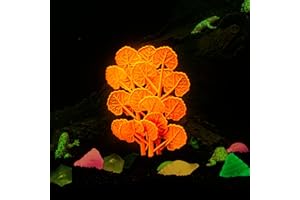 LPFLASAT Fish Tank Decorations Glowing Aquatic Plants Artificial Silicone Ornament with Glowing Effect for Fish Tank Landscape Decoration Betta Fish Tank Decor (A)