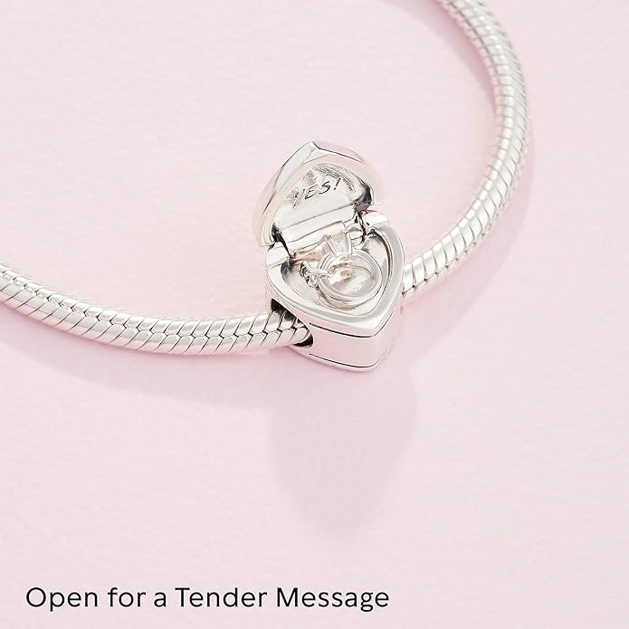 Pandora 798072cz Clearance