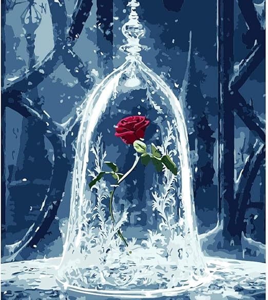 Kits de Pintura por números para Adultos Niños Mayores Principiante