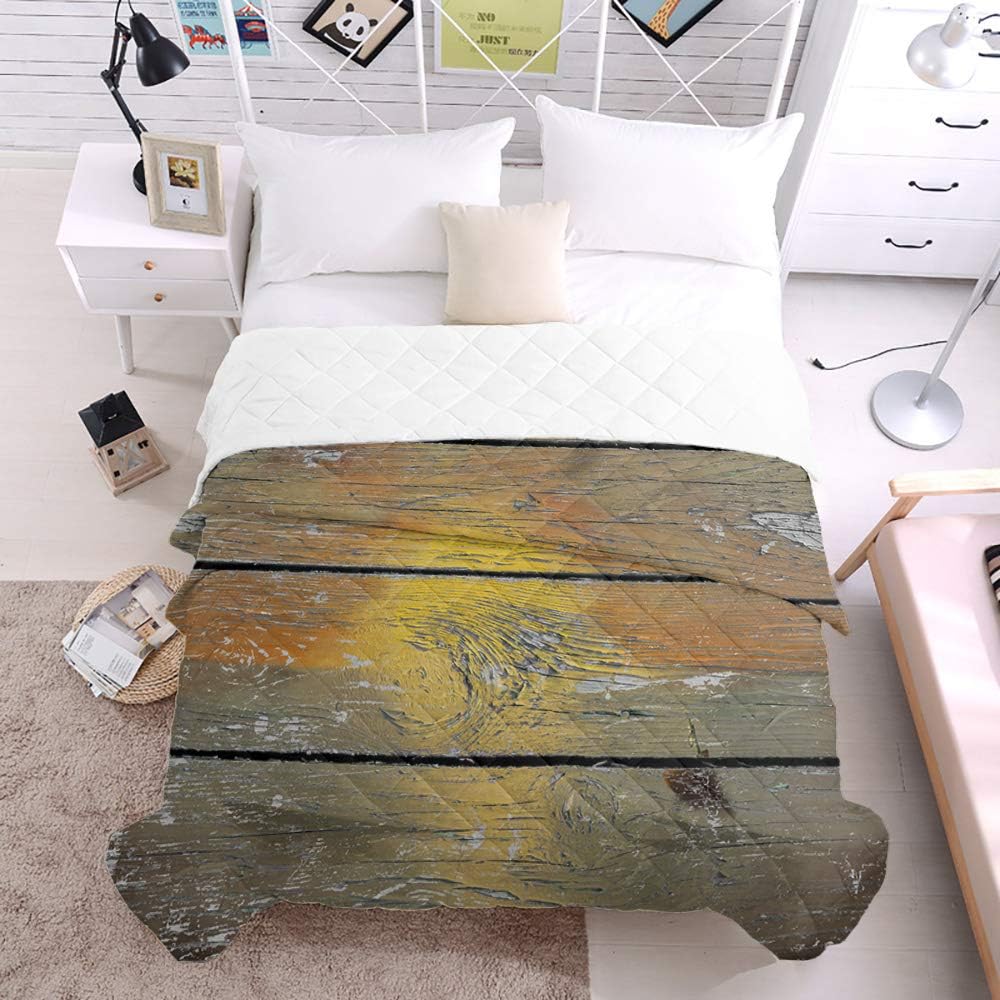 Amazon.com: Prime Leader Bedding All Season Comforter ...