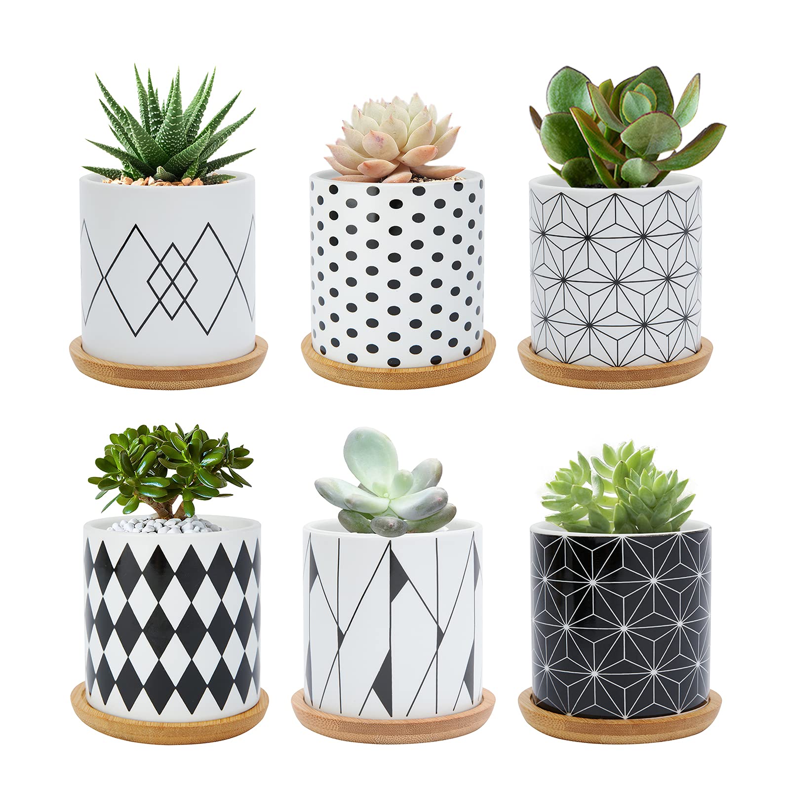 FORAGIFT 7.5CM Succulent Plant Pot, Ceramic Geometric Pattern Cactus Plants Pot, Small Plant Pots for Indoor Outdoor Plants with Bamboo Tray, and Great for Home Office Decor, Set of 6