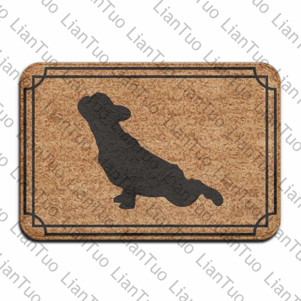 LianTuo French Bulldog Fashion 15.7 X 23.6 in Absorbent Anti Slip Floor Rug Carpet Door Mat