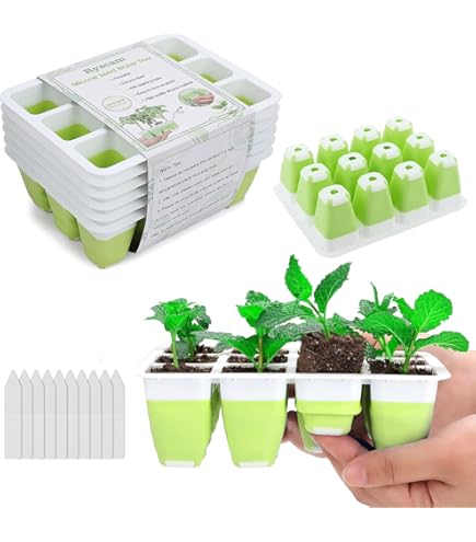 pothos for sale Pothos, N'Joy main image 0