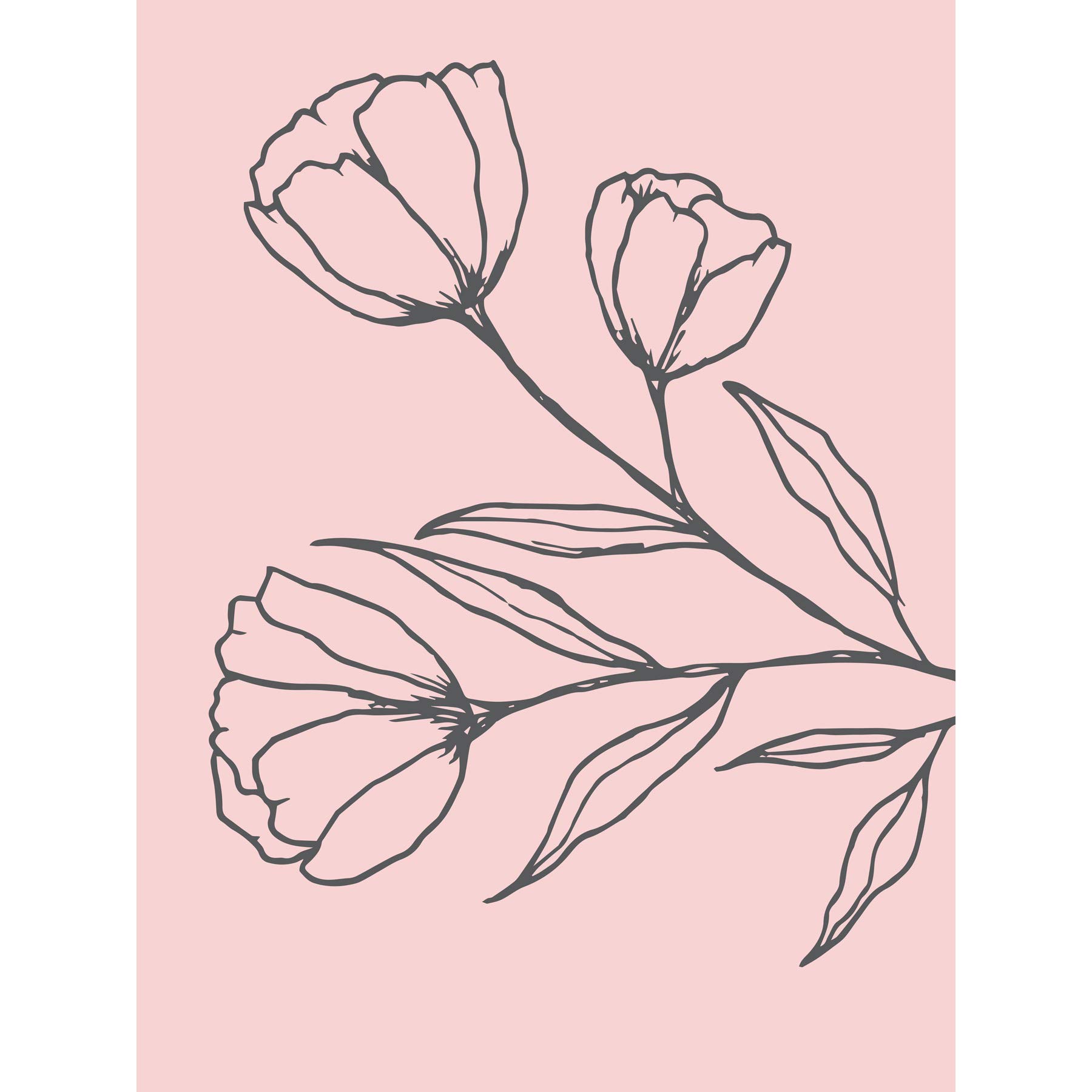 Wee Blue Coo Blush Pink Plant Poppy Flowers Grey Large Wall Art Poster Print Thick Paper 18X24 Inch