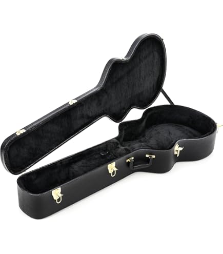 Amazon.com: Ibanez SGBE50C Hardshell Acoustic Bass Guitar Case