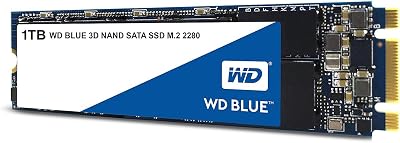 WD Blue 3D NAND M.2 SATA SSD 1TB Internal High Performance Storage