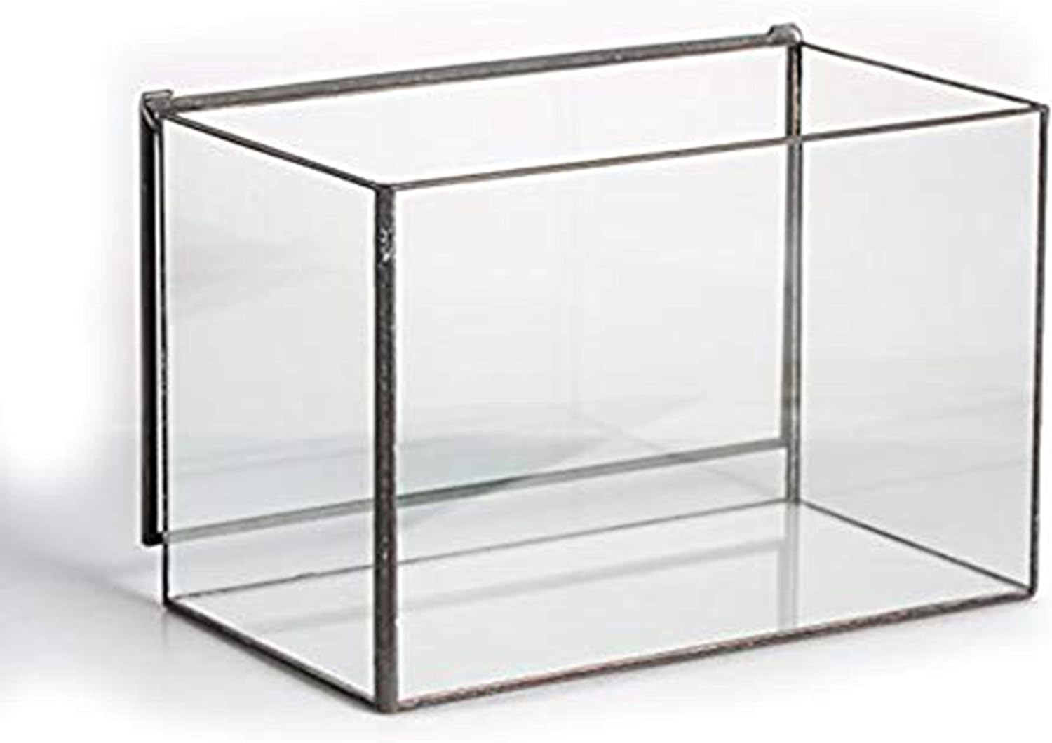 Macetero transparente rectangular | ¡Descubre las macetas más