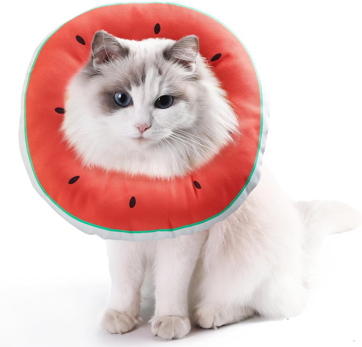 Photo 1 of Jevnd Cat Cone Collar Soft Kitten Donut, Cat Cones to Stop Licking After Surgery and Scratching, Waterproof Elizabethan e Collar for Cats After Neuter, Adjustable Comfy Cats Neck Cone Pillow for Kitty