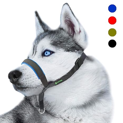 RockPet Gepolsterter Hundehalfter aus Leder - Hundehalsband-Halfter der Ziehen verhindert, Einstellbar, Maulkorb Hunde