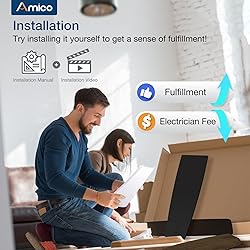 Amico Ceiling Fans with Lights, 52 inch Ceiling fan
