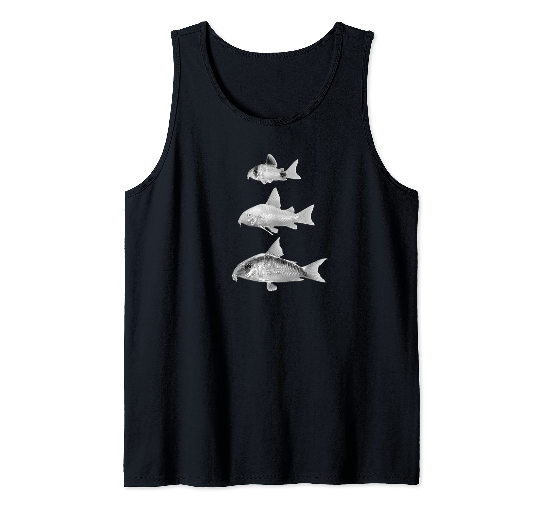 Corydoras Cory Catfish Panda Cory Aquarium Fish Tank Top