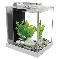 Fluval 10517 Spec III Aquarium Kit