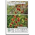 Dwarf Red Coreopsis Plains Flower Seeds (Coreopsis tinctoria) – 1500+ Non-GMO Heirloom Seeds, by Isla’s Garden Seeds, Perfect for Home Gardens, Easy to Grow, Stunning Red Blooms, Great Gardening Gift
