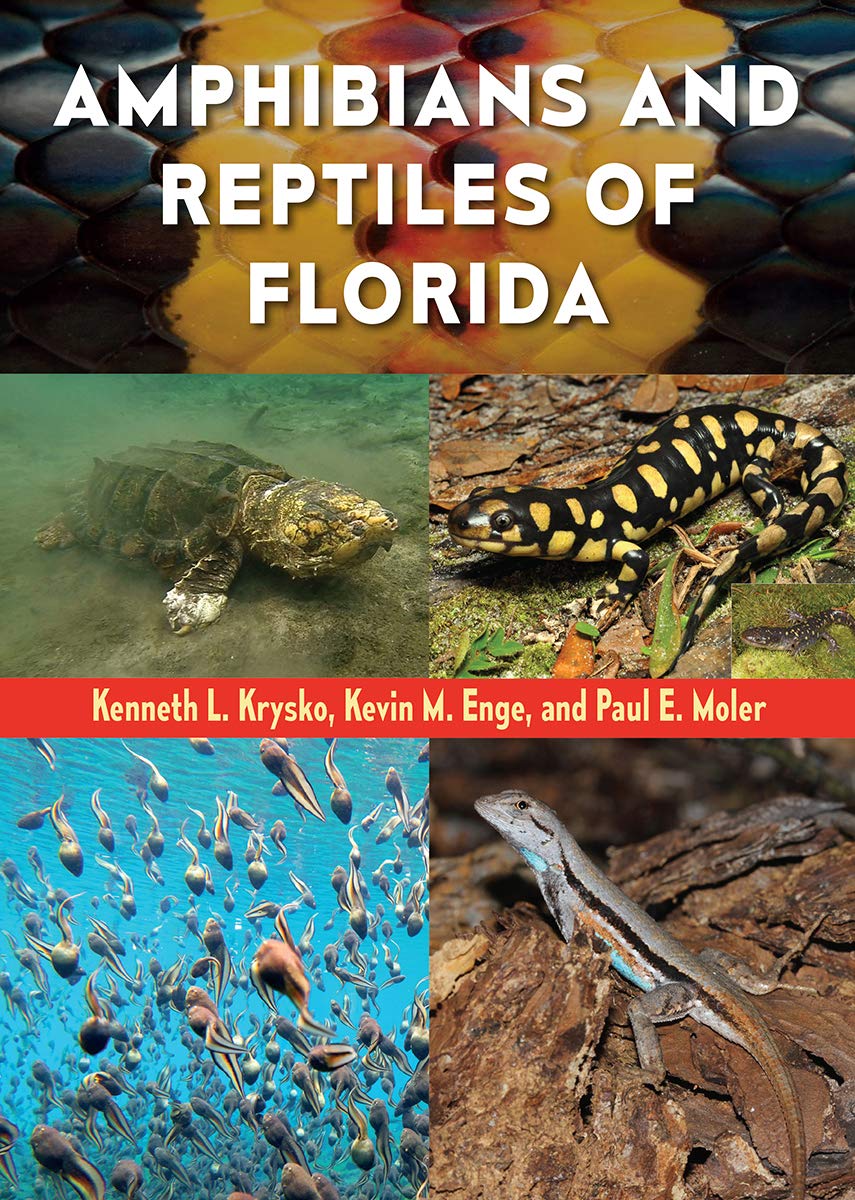 Amphibians and Reptiles of Florida Amphibians and Reptiles of Florida