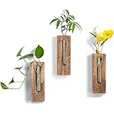 Walasis Wall Hanging Glass Planter Tubes - Propagation Station for Indoor Plants Hydroponic Plant Cuttings - Planters Gifts for Mom Wife Women Friend