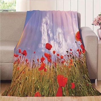 Amazon Com Blanket Comfort Warmth Soft Air Conditioning Easy Care