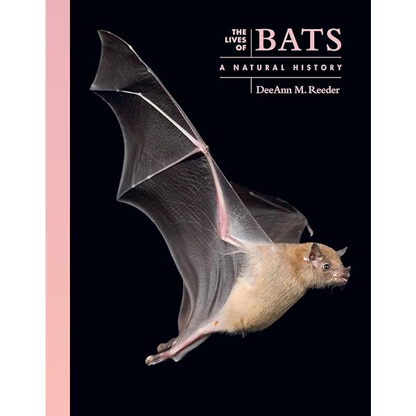 Amazon.com: Bats: A World of Science and Mystery