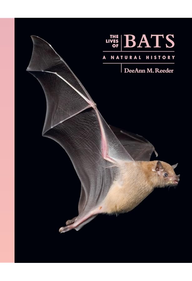 洋書　BATS     M. BROCK FENTON Bats: Fenton, M. Brock: 9780816043583: Amazon.com: Books