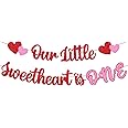 Our Little Sweetheart Is One Banner Valentine’s Day 1st Birthday Banner Happy Valentine’s Day Theme for One Year Old Kids Boy Girl First Birthday Party Supplies
