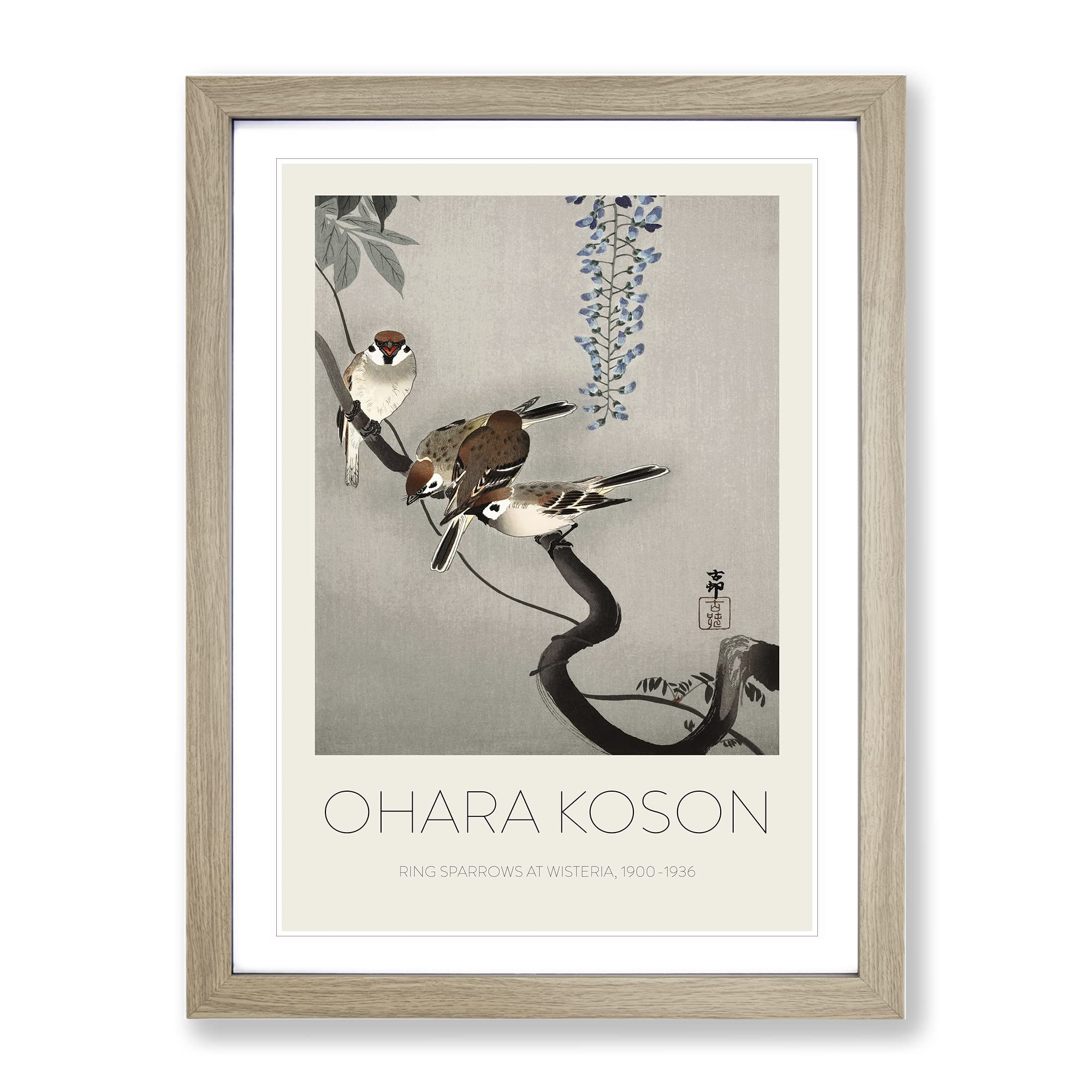 Sparrows At Wisteria By Ohara Koson Exhibition Museum Asian Japanese Framed Wall Art Print, Ready to Hang Picture for Living Room Bedroom Home Office Décor, Oak A3 (34 x 46 cm)
