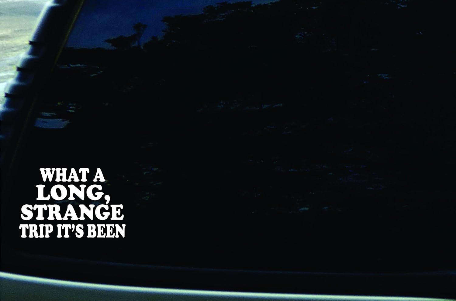 7" X 5" What a Long, Strange Trip It's Been Vinyl DIE Cut Decal for Your Car, Truck, Laptop, Window