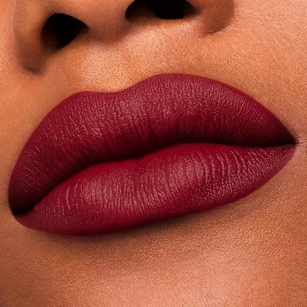 ESTÉE LAUDER PURE COLOR LONG-LASTING MATTE LIPSTICK FOR WOMEN WITH MATTE FINISH | PLUMPING & NOURISHING, 0.12 OUNCE, REFILL, 888 POWER KISS