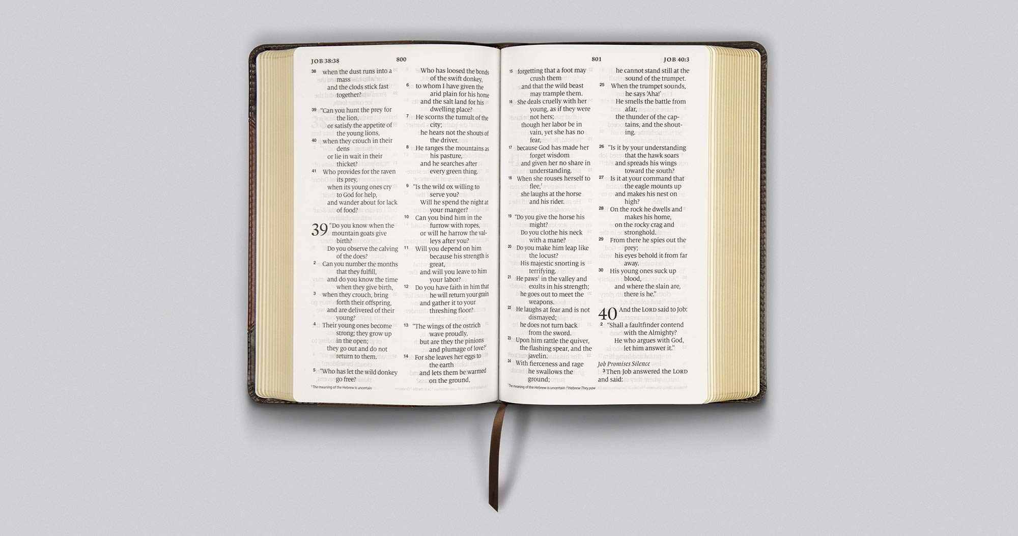 ESV Large Print Personal Size Bible (Black)