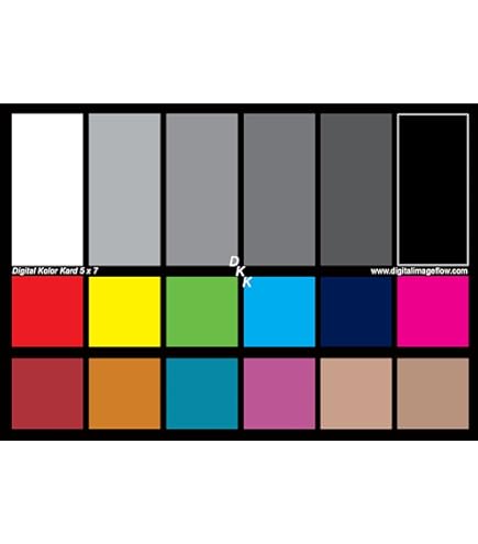 Amazon.com : Calibrite ColorChecker White Balance (CCWB