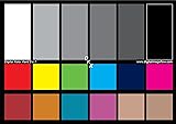 DGK Color Tools DKK 5" x 7" Set of 2 White Balance