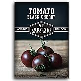 Black Cherry Tomato Seeds for Planting &ndash; Survival Garden Seeds (1 Pack) | Indeterminate Heirloom Non-GMO Variety &ndash; Grow High Yields of Deep Purple Bite-SizeTomatoes with Sweet Rich Flavor