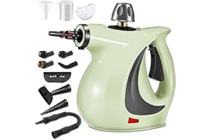 Spurgehom Handheld Steam Cleaner, Portable Steamer with Large Capacity,11-Piece Accessory Set for Floor, Car, Carpet, Upholstery, Couch, Tile, Windows Cleaning (Green)