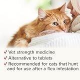 Beaphar WORMclear Spot-On for Cats 2 Pipettes Kills Tapeworms Vet Strength view 5