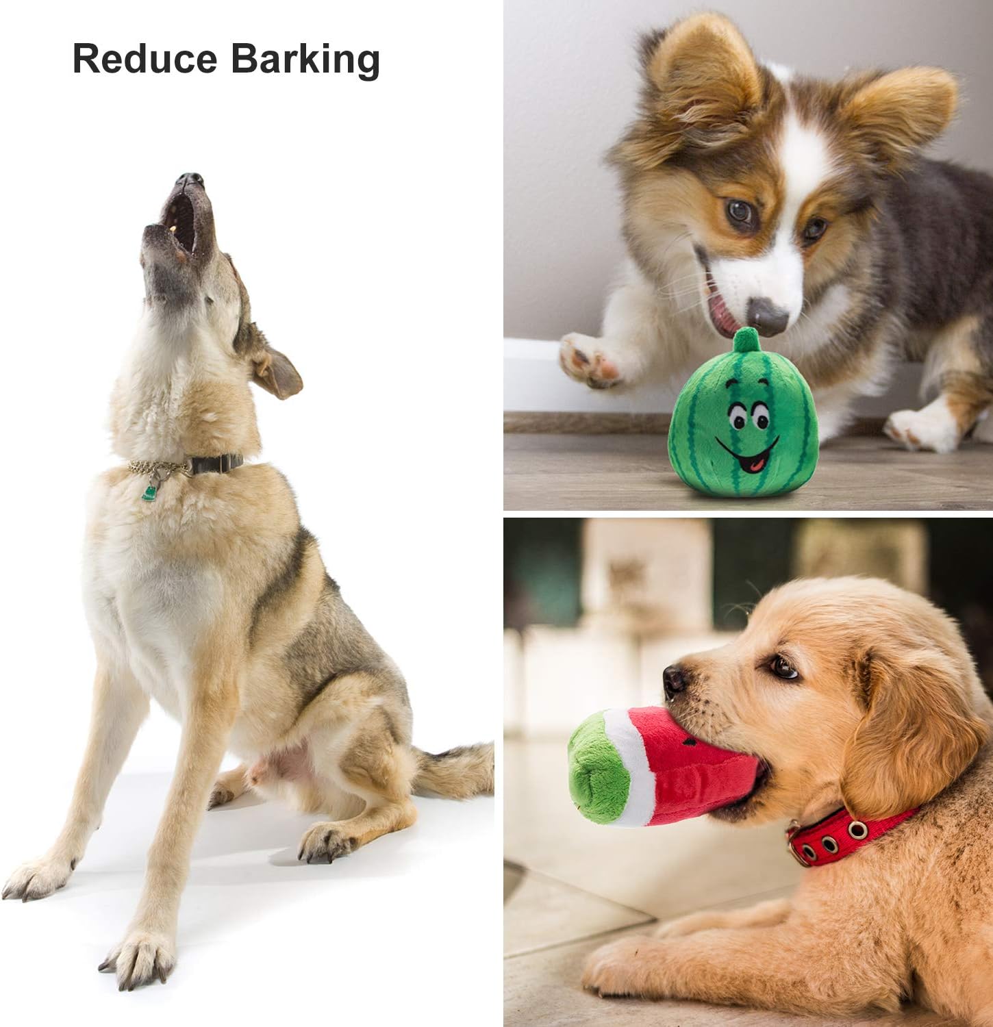 Pet Supplies : Nocciola 12 Pack Dog Squeaky Toys Cute Plush Toys for Small Medium Dog|Pet Toys|Squeaky Toys|Plush Games| Carry Bag : 