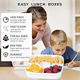 Greentainer 52 OZ to Go Salad Container Lunch Box BPA-Free 3-Compartment Grey view 3