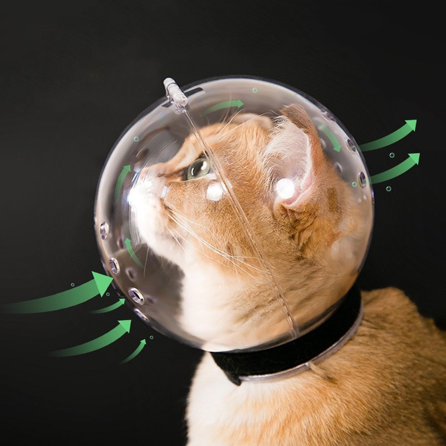 Breathable Cat Muzzle Anti-bite Grooming Muzzle Mask Transparent Kitten Mouth Cover Adjustable Hood Muzzles for Cat Bath Cleaning Grooming or Cutting Nails