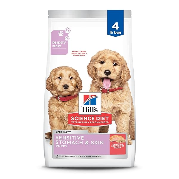 HILL’S SCIENCE DIET SENSITIVE STOMACH & SKIN, PUPPY, STOMACH & SKIN SENSITIVITY SUPPORT, DRY DOG FOOD, SALMON & BROWN RICE, 4 LB BAG