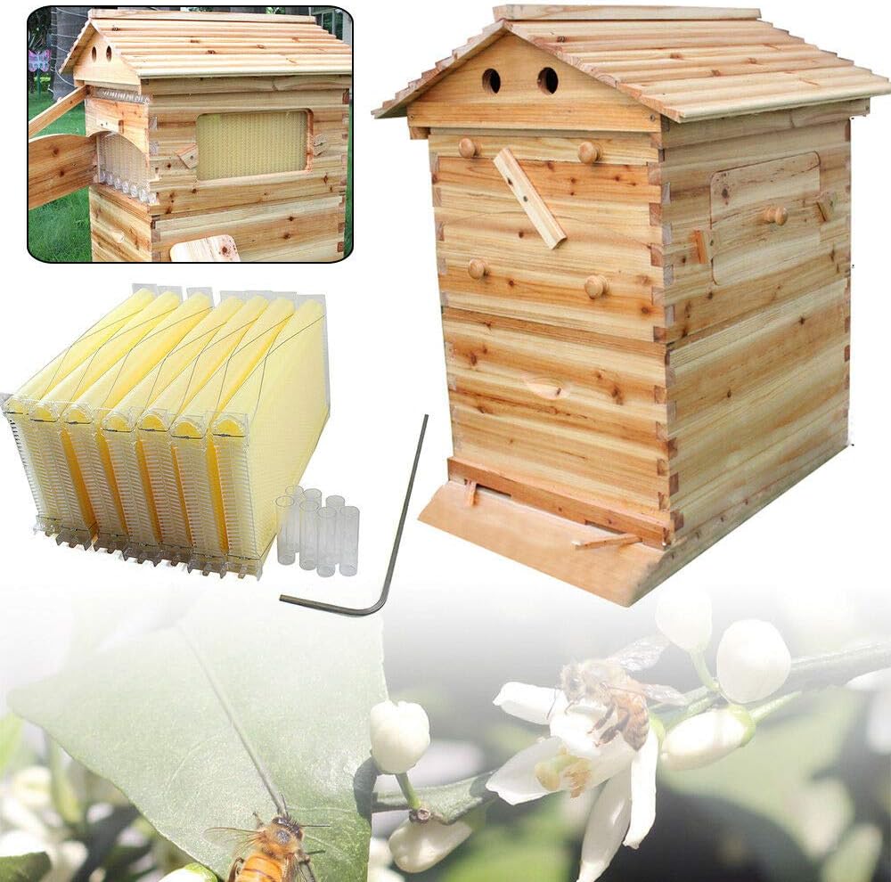 RanBB 7Pcs Auto Honey Bee Hive Frames with Beekeeping Wooden House