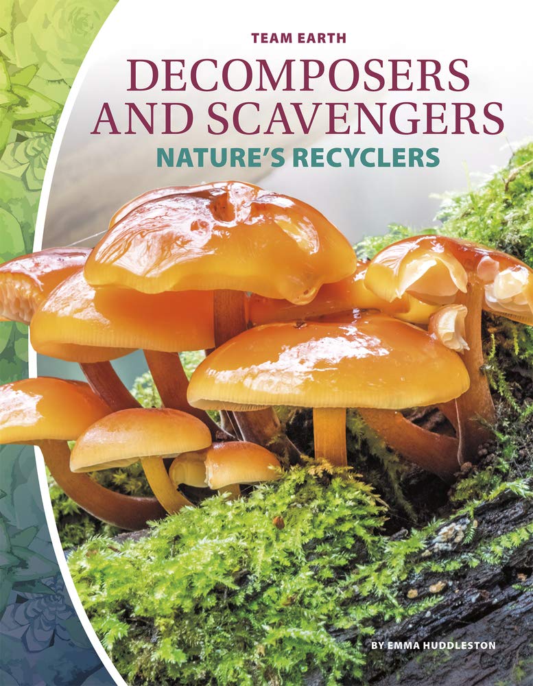 Decomposers Team Earth Huddleston Emma Amazon Com Books