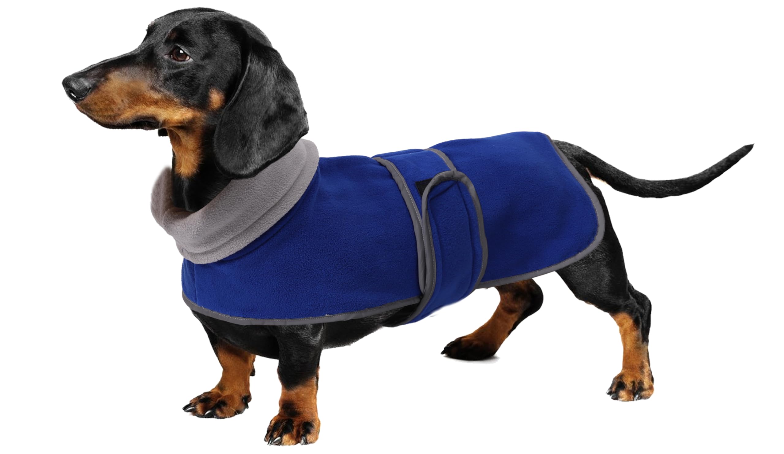 Geyecete dachshund coat with Warm Thermal Quilted, Dog miniature dachshund coats with Warm Fleece Lining, Outdoor Dog Apparel with Adjustable Bands-Blue-XS